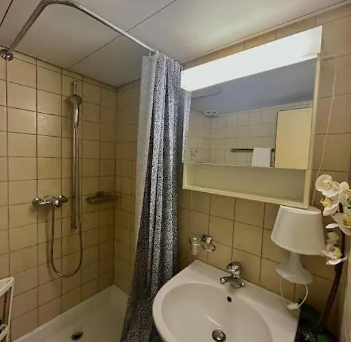 Apartment Near Station Zurich